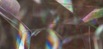 bubble4