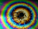 bubble0000000000